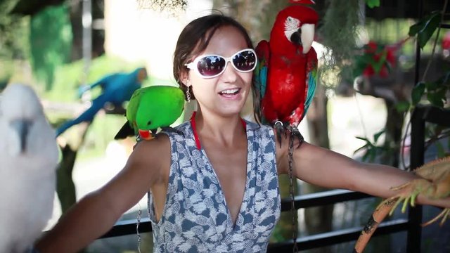 Happy woman wearing sunglasses holds blue-gold Macaw parrot white parrot macaw and iguana in Koh Samui Paradise park. 1920x1080