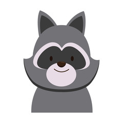 Cute raccoon head cartoon icon vector illustration graphic design