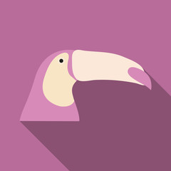 brazilian toucan bird nature