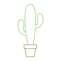 potted cactus plant natural decoration interior vector illustration green line