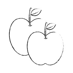 two apple fruit tropical nutrition food health vector illustration