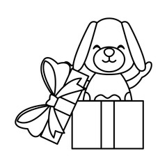 dog in giftbox icon vector illustration graphic design