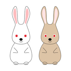 Fototapeta premium ウサギ