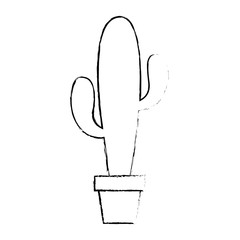 potted cactus plant natural decoration interior vector illustration