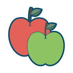 two apple fruit tropical nutrition food health vector illustration