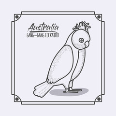 australia gang-gang cockatoo frame in monochrome silhouette vector illustration