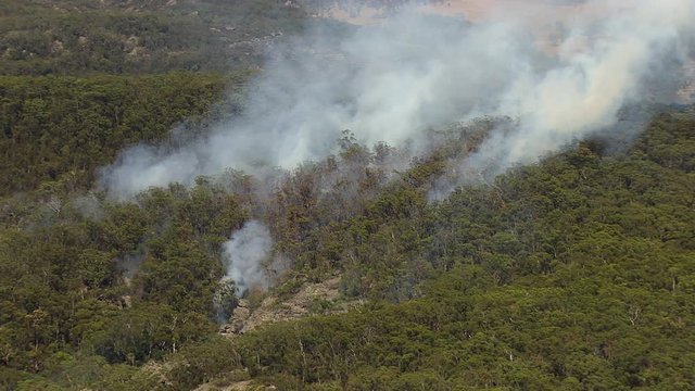 A birds eye view shot of a helictopter and trees with smoke. Camera zooms in and moves forward