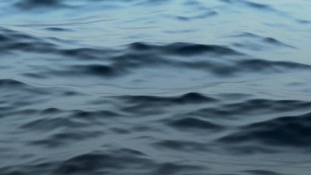 Abstract 3d rendering of ocean water surface with small ripples. Computer generated animation of the sea with waves. Background design, 4k UHD