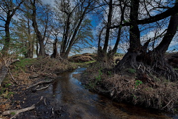 Eastern Kazakhstan. Spring on the rivers of the national Park Bayanaul