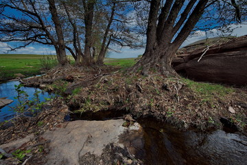 Fototapeta premium Eastern Kazakhstan. Spring on the rivers of the national Park Bayanaul