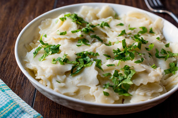 Homemade Italian Plain Ravioli with Parsley.