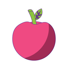 school apple back study elementary symbol vector illustration