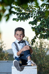 Wonderful little dandy posing at camera