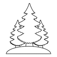 Trees pines isolated icon vector illustration graphic design