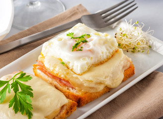 Ham and cheese sandwich