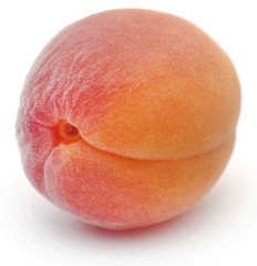 Fresh apricot