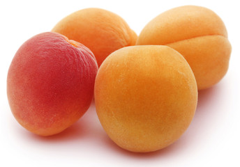 Fresh apricots