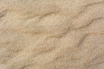 Fototapeta na wymiar Natural sand texture. Sandy beach dune for background.