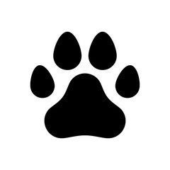 Paw of a dog