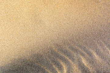 Natural sand texture. Sandy beach dune for background.