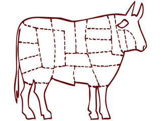 Tagli di carne per macelleria