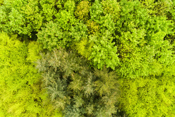 Fototapeta premium Landschaft in Deutschland