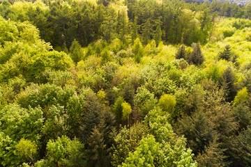 Landschaft in Deutschland