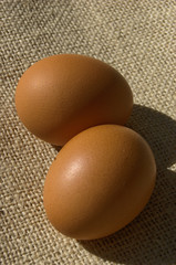 Two organic brown eggs on burlap background