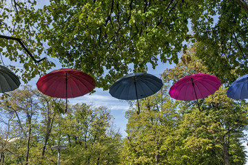 Umbrellas hanging on trees over a pedestrian zone