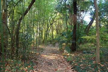 Jardin botanique du château de Flaugergues à Montpellier, France