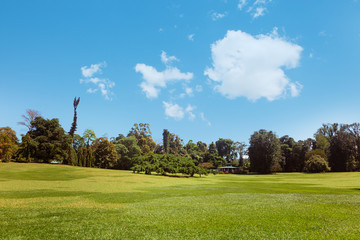 Panoramic view of Royal Botanical King Gardens, Peradeniya, Sri Lanka