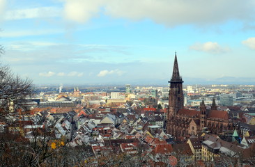 Fototapeta na wymiar Blick aufs Freiburger Münster im Winter