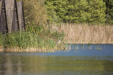Am Plätlinsee in Wustrow