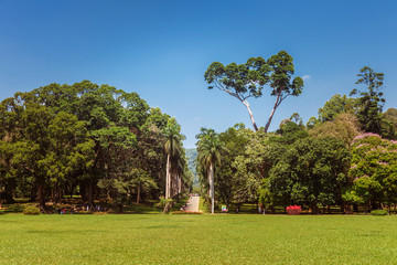 Fototapeta na wymiar Panoramic view of Royal Botanical King Gardens, Peradeniya, Sri Lanka