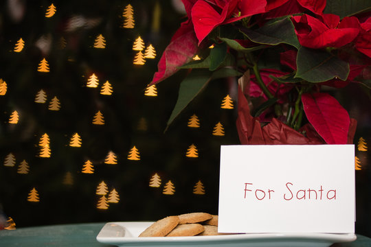 Cookies And Note Left Out For Santa With Christmas Tree Bokeh Background