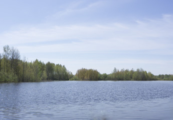 forest river beautiful view