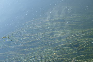 beautiful ripples on river flow over colorful stones in summer sunshine