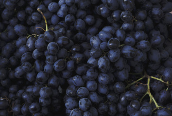 Red wine background dark grapes blue - Powered by Adobe