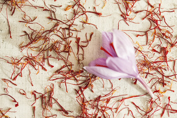 one saffron flower and a lot of drying saffron types