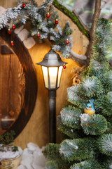 a tit on the winter fir tree near a vintage lantern against the backdrop of the door to the house...