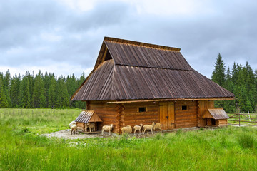 Naklejka premium Beautiful scenery of Tatra mountains with wooden hut in Poland