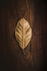 Fallen leaves on wooden ground background.
