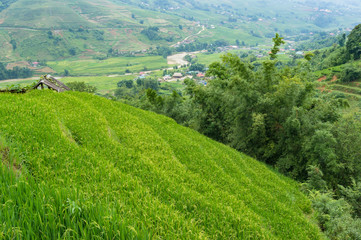 Fototapeta na wymiar Green rice terraces with distant village view