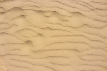 Sand. White ocean sand background. Summer texture. 