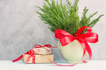 Green christmas tree branches with red bow in pot with gifts on blue table against concrete grey wall. New year concept. Text space