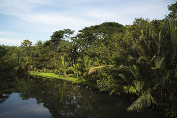 Pubic park on a sunny day