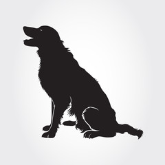 Vector Border Collie Dog Silhouettes. I realy hope you’ll enjoy this dog silhouette.