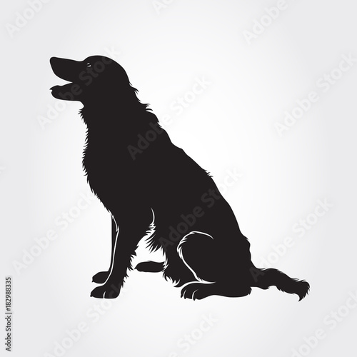 Download "Vector Border Collie Dog Silhouette." Stock image and ...