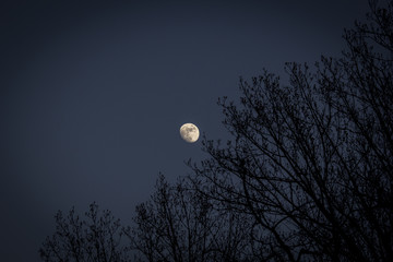 Moon in a clean night