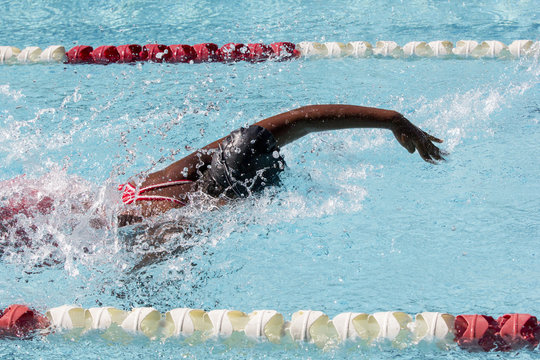 Swimming Comptetition